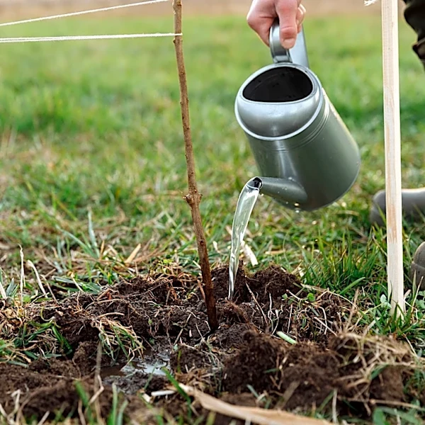 Indiana Launches $500,000 Cost-Share Program for Soil and Water Conservation