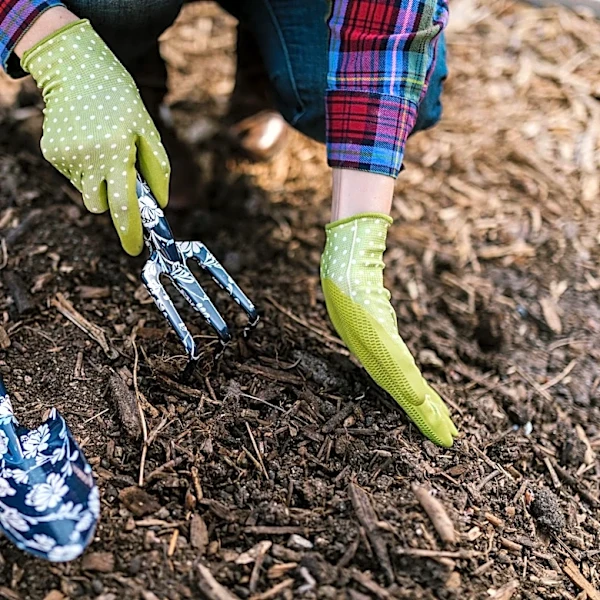 Tips to Protect Your Garden During a Heatwave