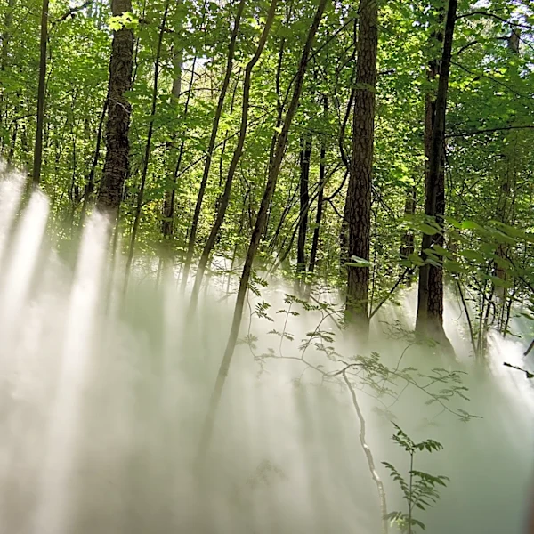 Finding Joy in Everyday Weather Phenomena