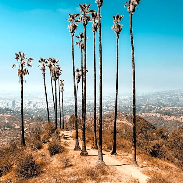 Extreme Heat Wave to Impact Los Angeles and US Southwest