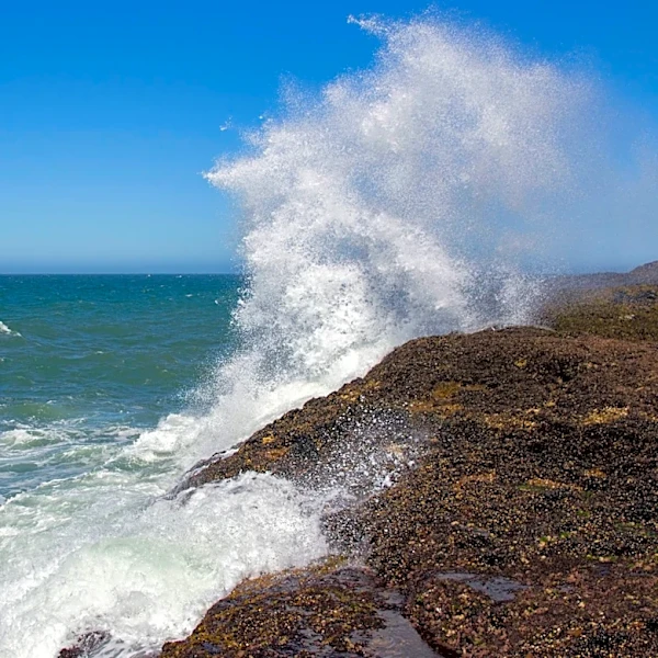 Climate Change Threatens Urban Water Affordability in Santa Cruz