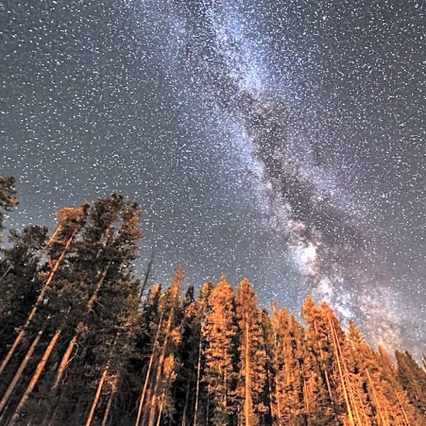 Top 10 US National Parks for Stunning Stargazing
