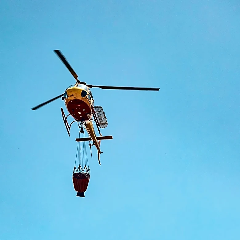Colorado Homeowners Insurance Relief Linked to Wildfire Mitigation