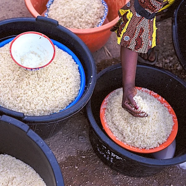 How to Reduce Arsenic Exposure from Rice Consumption