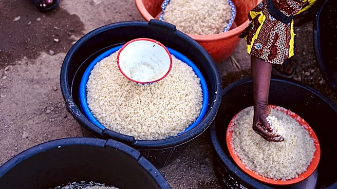 How to Reduce Arsenic Exposure from Rice Consumption