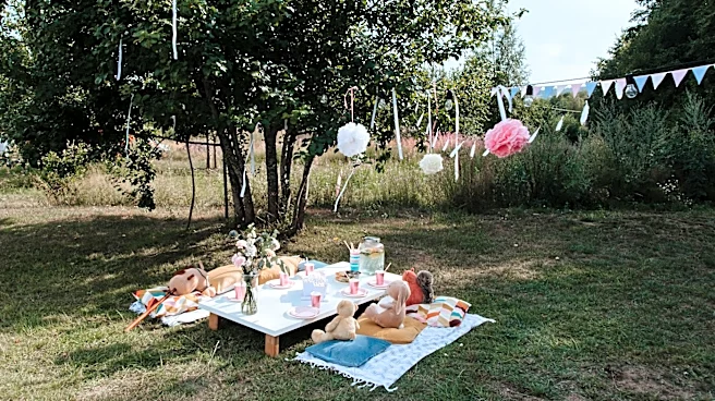How to Plan a Picnic: Weather Tips Included