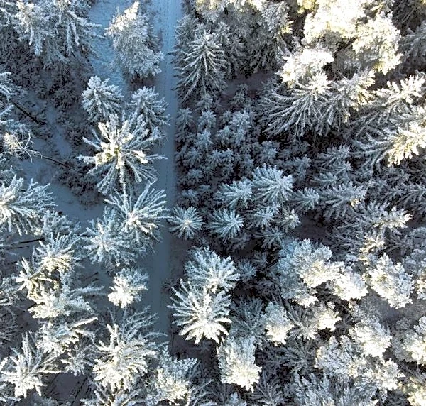 Super El Niño Could Disrupt Travel Through Winter