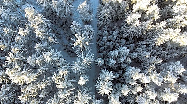 Super El Niño Could Disrupt Travel Through Winter