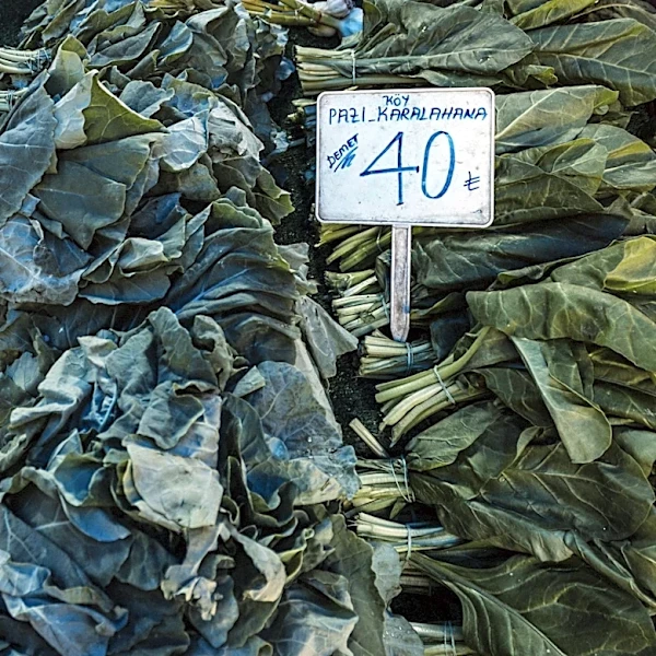 ‘Godzilla’ El Niño Could Disrupt Global Food Prices for Years