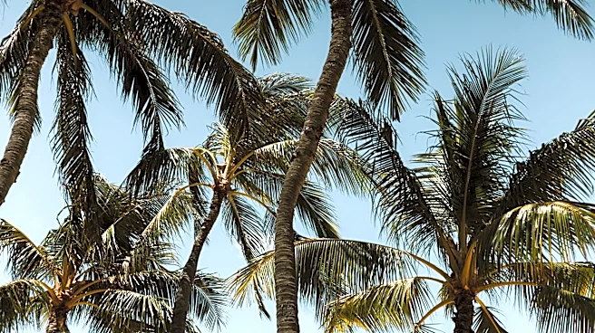 Heat and Humidity Build Amid Salmonella Outbreak on Long Island