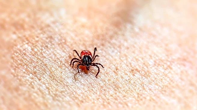 Tick Bite Cases Surge Across the U.S. Amid Rising Temperatures