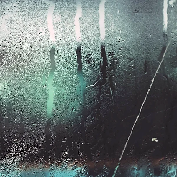 Understanding Humidity and Its Impact on Daily Life