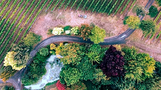 Understanding the Role of Weather in Wine Country Tourism