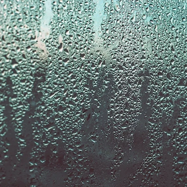 What Is the Dew Point and How Does It Affect You?