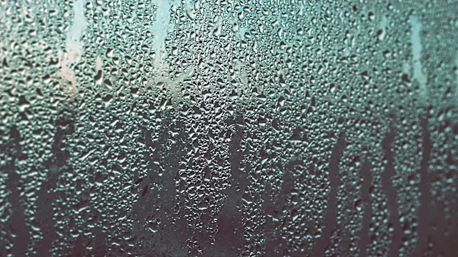 What Is the Dew Point and How Does It Affect You?