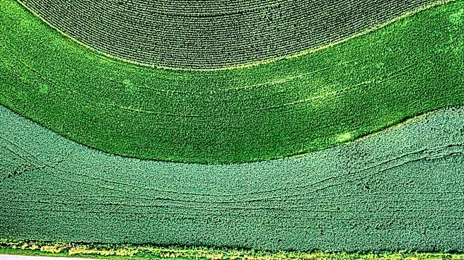 Regenerative Agriculture Gains Traction with New Tax Incentives