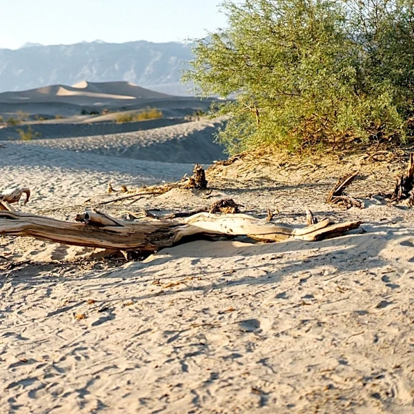 El Niño Expected to Intensify, Raising Questions About California's Weather