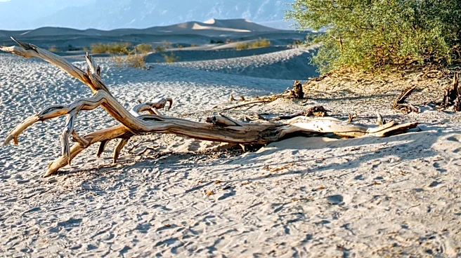 El Niño Expected to Intensify, Raising Questions About California's Weather