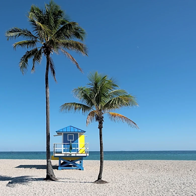 Hot and Humid Conditions Persist in South Florida; Tropical Depression Likely in Gulf