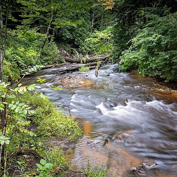 Wildfire Rain Impacts Upper Peninsula Agriculture and Forests