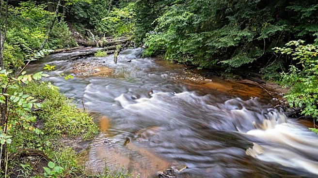 Wildfire Rain Impacts Upper Peninsula Agriculture and Forests