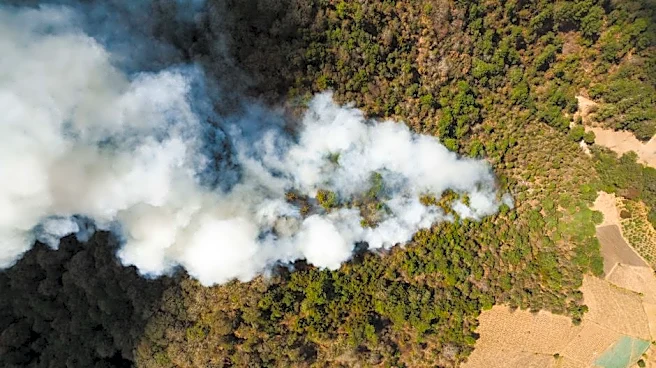 Poor Air Quality? Here's How to Breathe Easier
