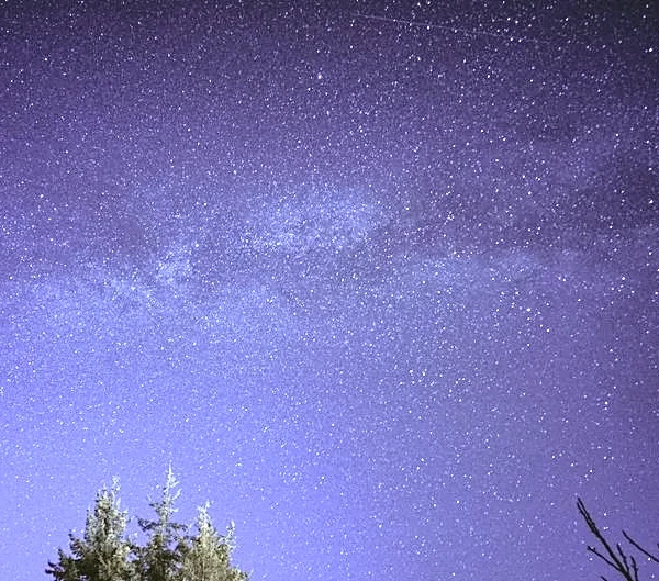 Perseid Meteor Shower to Light Up August Skies