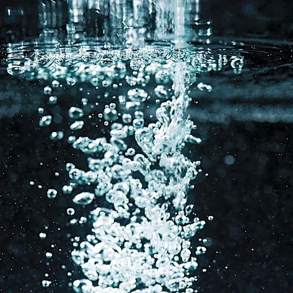 Oxygen Levels in Earth's Waters Declining Rapidly, Scientists Warn