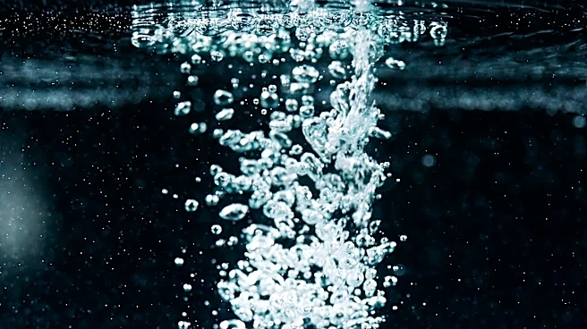 Oxygen Levels in Earth's Waters Declining Rapidly, Scientists Warn