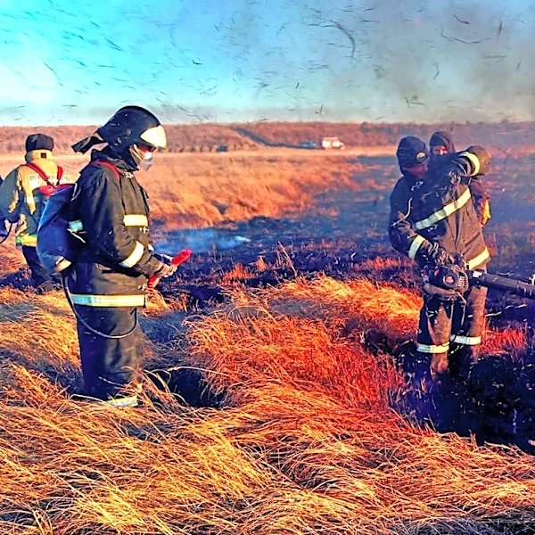 Wildfires Scorch 60,000 Acres in Northern Minnesota