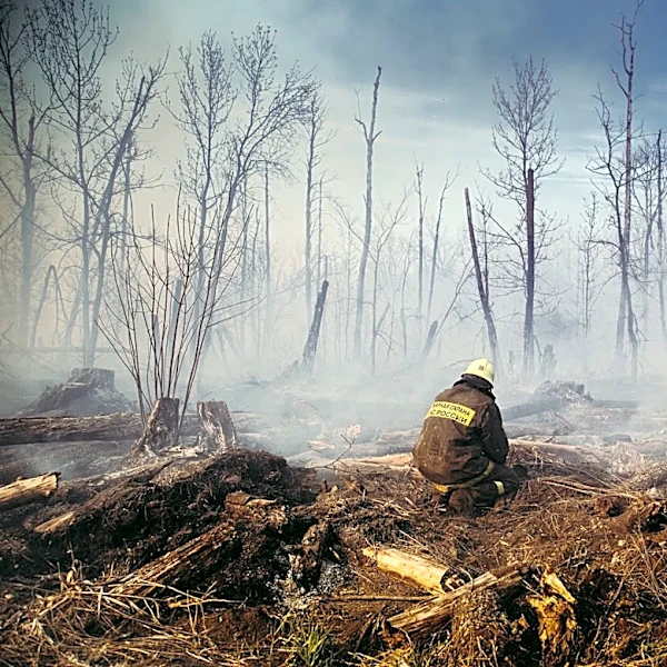 Wildfires Scorch 60,000 Acres in Northern Minnesota, Over 600 Firefighters Deployed