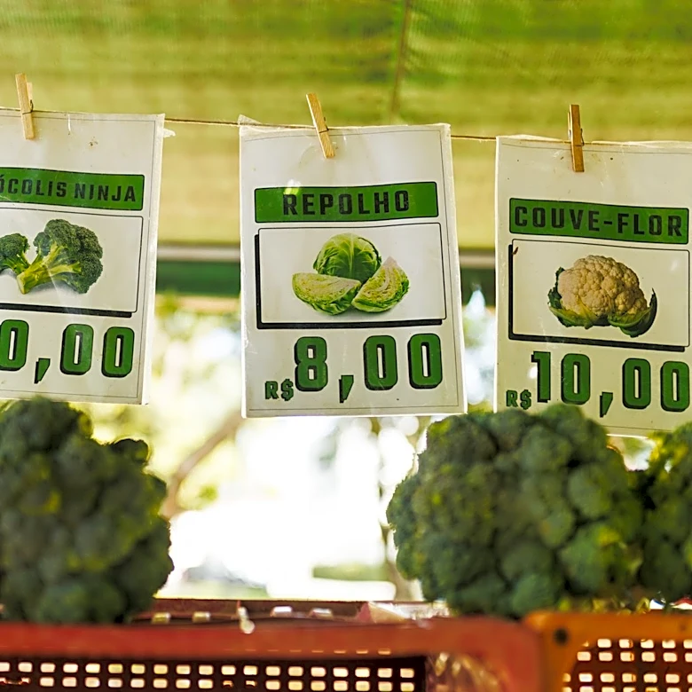 Climate Inflation Drives Up Costs for Food, Energy, and Insurance