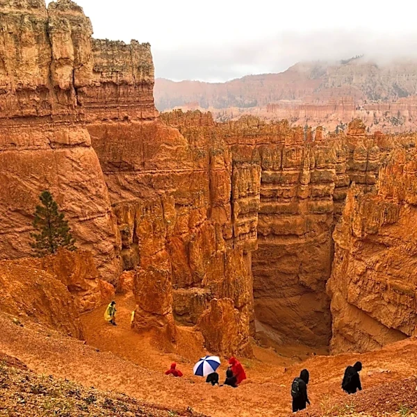 Utah Family of Five Killed in Flash Flooding Incident