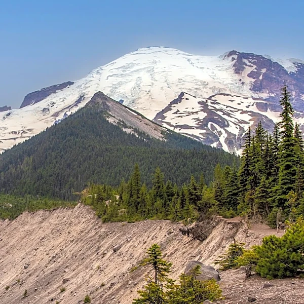 Scientists Pinpoint Date of Historic Mount Rainier Mudflow