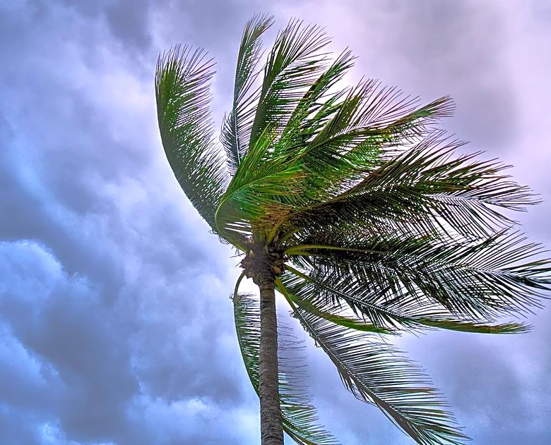Tropical Storm Bertha Nears Louisiana Landfall