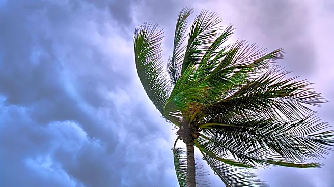 Tropical Storm Bertha Nears Louisiana Landfall