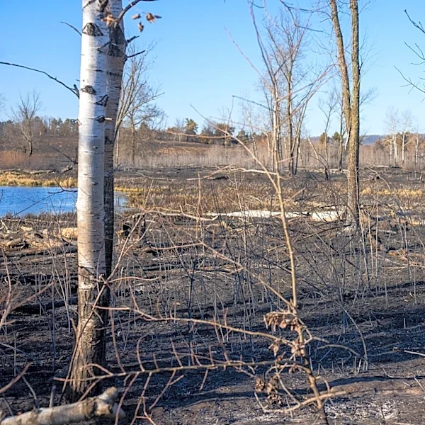 Wildfires Persist in Boundary Waters and Superior National Forest