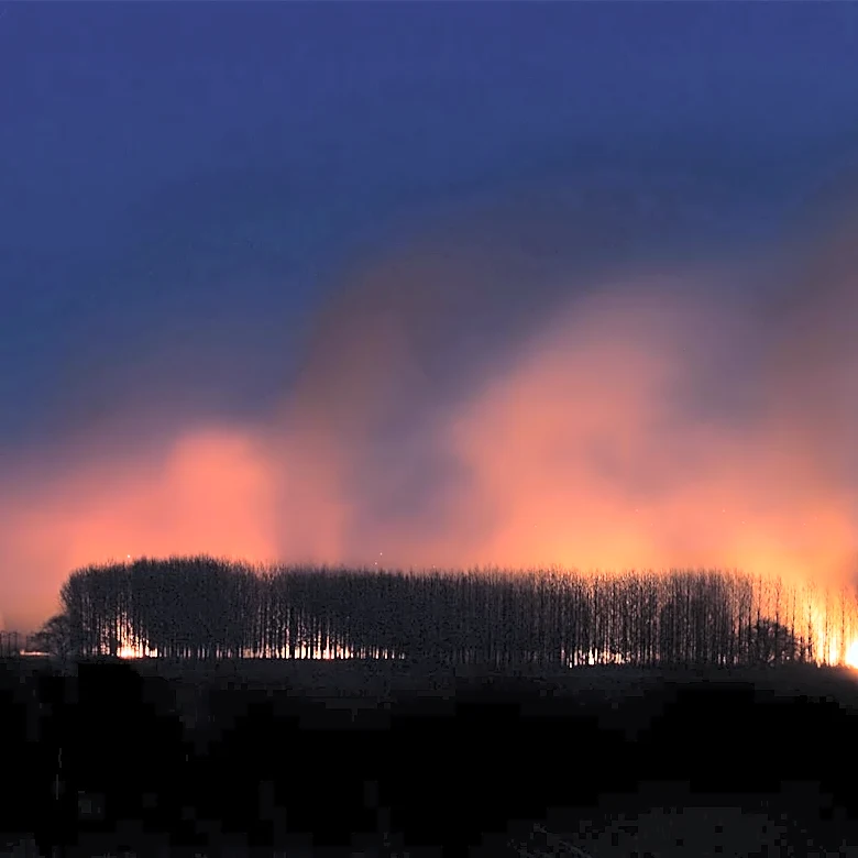 Wildfire Smoke Poses Severe Health Risks Globally