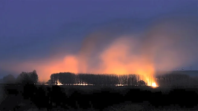 Wildfire Smoke Poses Severe Health Risks Globally