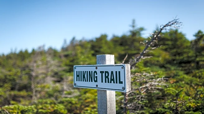 Beginner's Guide to Hiking in the US