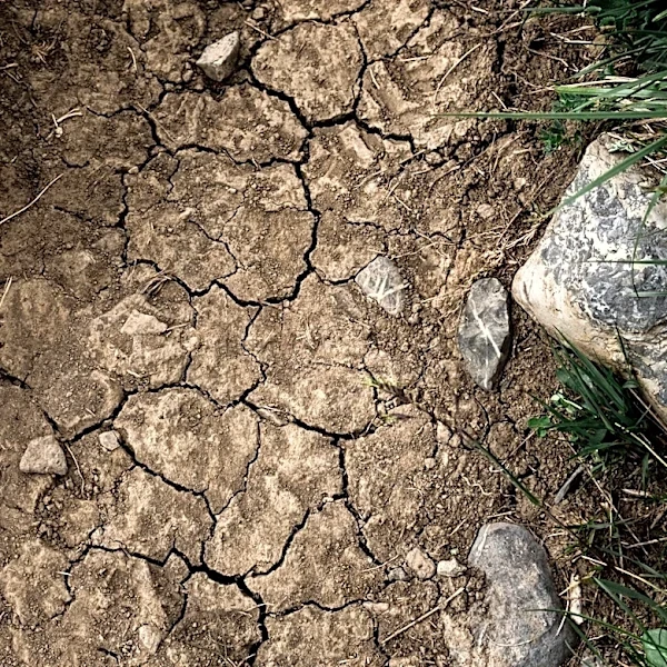 Castle Rock Enforces Stage 2 Drought Restrictions Amid Water Shortages