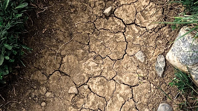 Castle Rock Enforces Stage 2 Drought Restrictions Amid Water Shortages