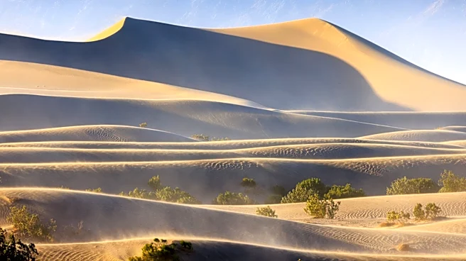 Understanding El Niño: How It Impacts Weather Patterns and What to Expect