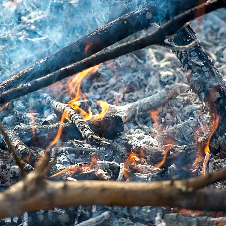 Wildfire Smoke and Extreme Heat Disrupt Summer Camps Across the U.S.