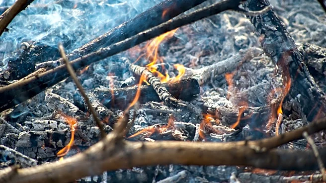 Wildfire Smoke and Extreme Heat Disrupt Summer Camps Across the U.S.