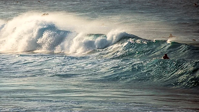 High Surf Advisory Issued for South-Facing Shores in Hawaii