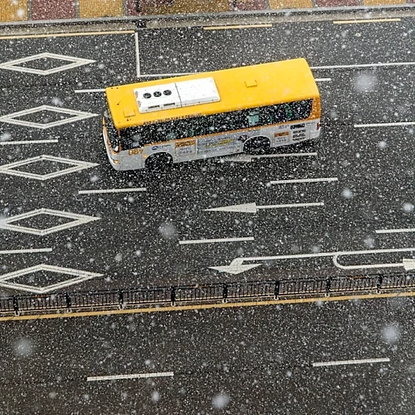 Understanding the Role of Weather in Travel Safety