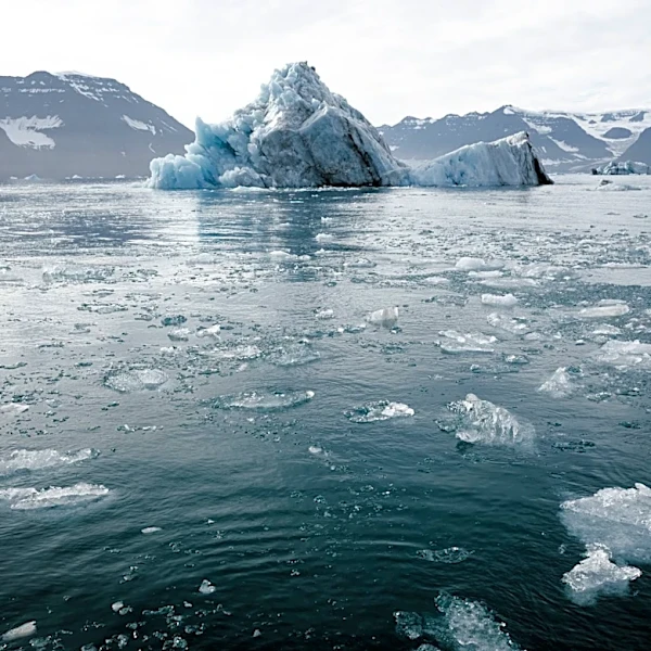 Earth’s Natural Thermostat Regulated Climate for 60 Million Years