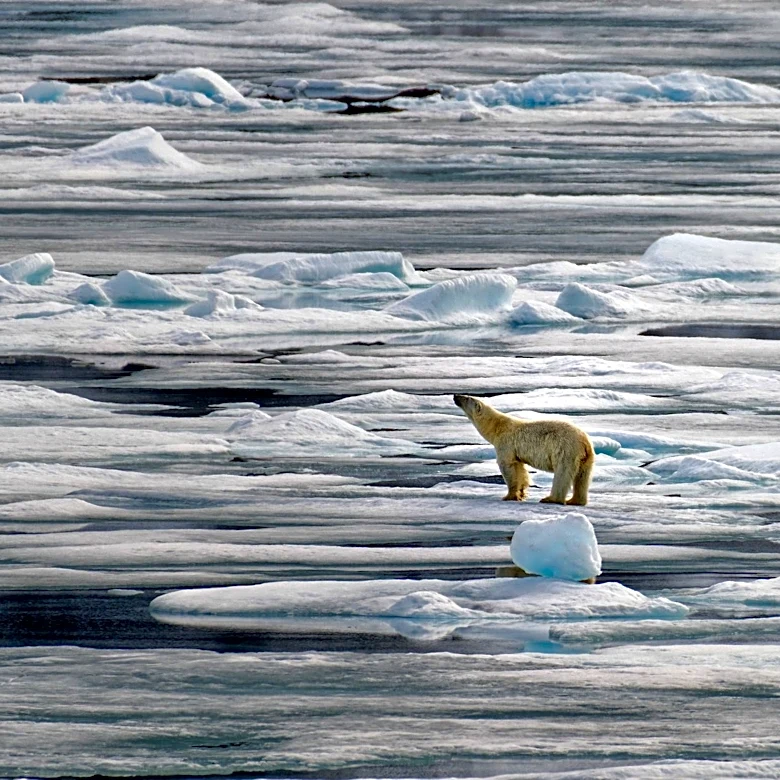Extreme Weather Events Highlighted in 'Force of Nature' Documentary