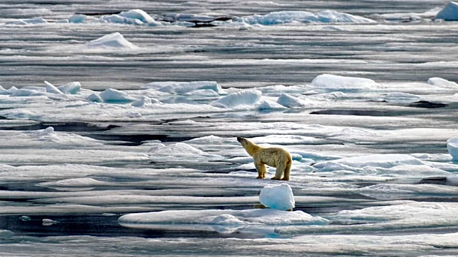 Extreme Weather Events Highlighted in 'Force of Nature' Documentary